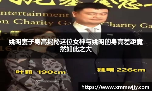 ac米兰体育